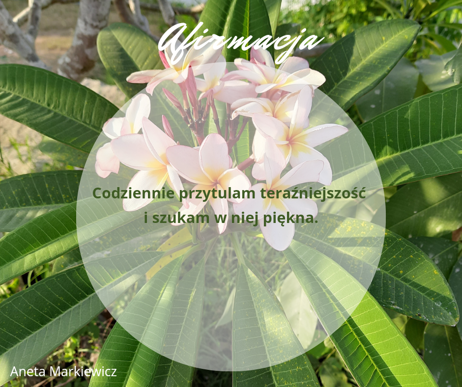 Codziennie przytulam teraźniejszość i szukam w niej piękna. Afirmacja o codziennym przytulaniu teraźniejszości i szukaniu w niej piękna.